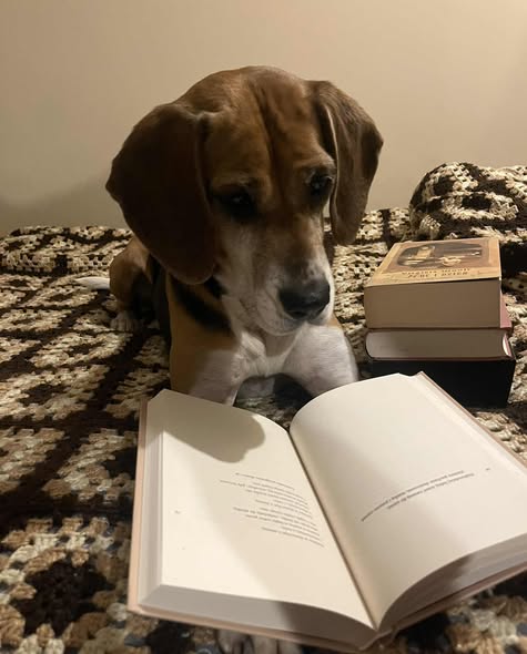 571203226_1282877517215583_355459941151926334_n