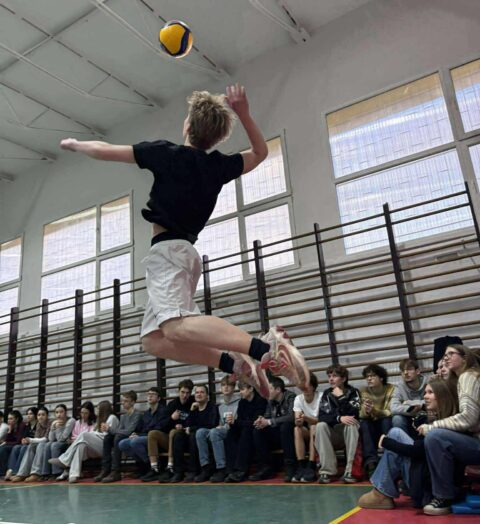 fda9d50fb24a7d25319ca643c0bcf9ee