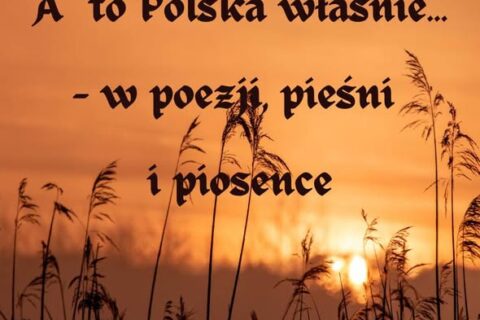 582655281_1446497944145993_7230754174363423862_n