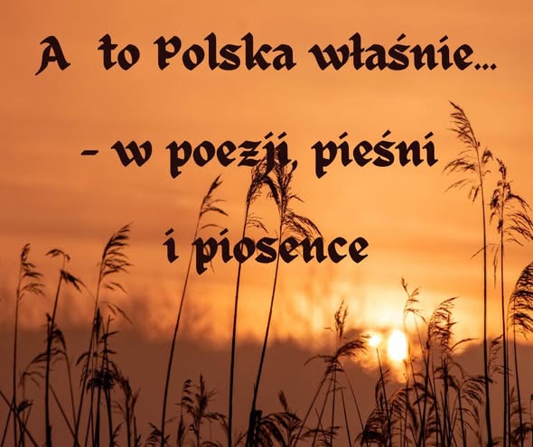 582655281_1446497944145993_7230754174363423862_n