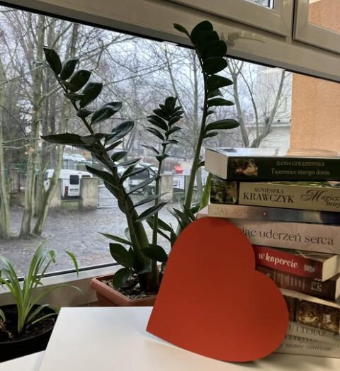 621567660_1358684429634891_7995638873707591158_n