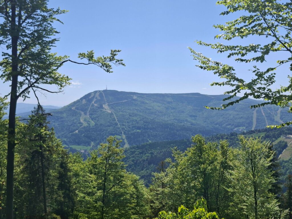 Zielona szkoła pełna przygód! 🌲🏰 Klasy 1G i 2C wróciły właśnie z…