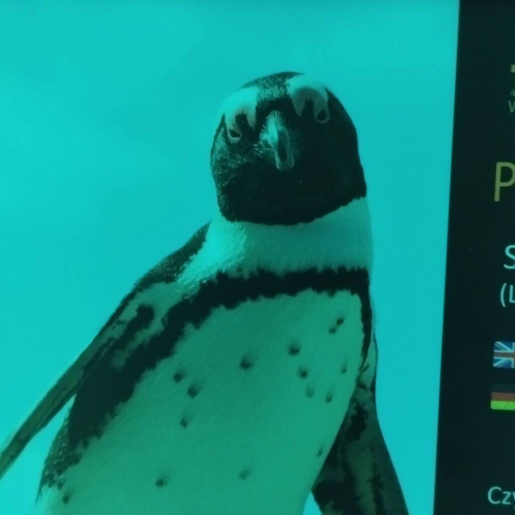 Klasa matematyczno-chemiczna spędziła czerwcowy poniedziałek we wrocławskim Afrykarium i Hydropolis, poznając bliżej…