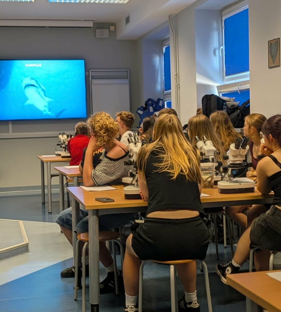 ☀️ Kolejny upalny dzień, a my szukamy ochłody w... głębinach oceanu! 🌊🦈…