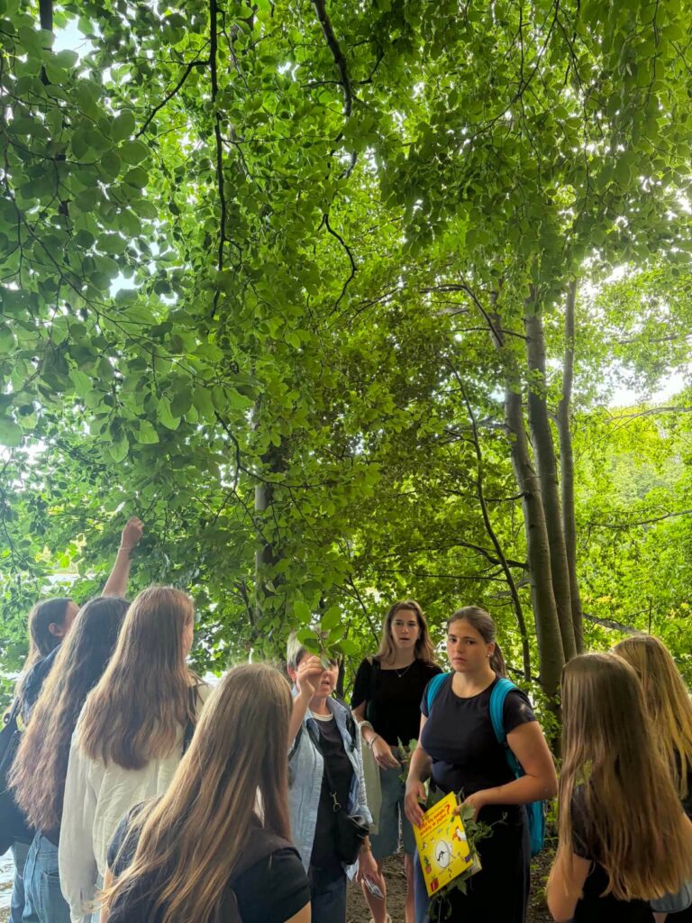 🌿 Tydzień Projektowy w klasach biologiczno-chemicznych trwa w najlepsze! 🔬 Dzisiejszy dzień…