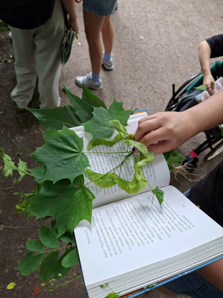 🌿 Tydzień Projektowy w klasach biologiczno-chemicznych trwa w najlepsze! 🔬 Dzisiejszy dzień…