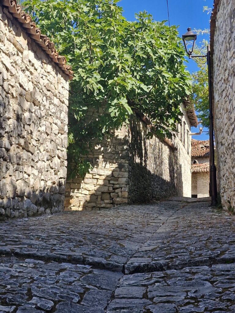 Klasa 4b humanistyczno-artystyczna ,,Od Adriatyku do jeziora Ochrydzkiego" - Berat, Albania🇦🇱 W…