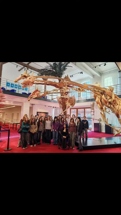 Lekcja anatomii w Plastinarium Doktora von Hagensa. Uczniowie klasy 3a, 4k i…
