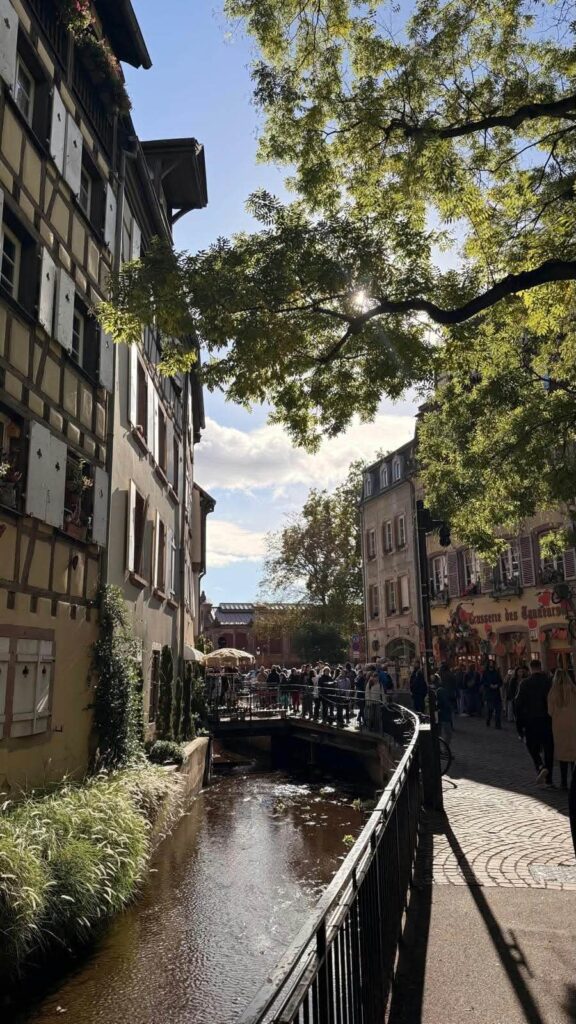 🇲🇫📍Avignon & Colmar Po Carcansonne udaliśmy sie do Awinionu - zabytkowego miasta…
